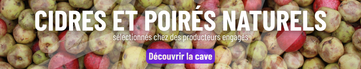 Découvrez la cave Acide